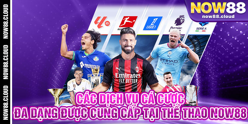 Các Dịch Vụ Cá Cược Đa Dạng Được Cung Cấp Tại Thể Thao Now88