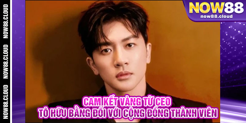 Cam Kết Vàng Từ CEO Tô Hữu Bằng Đối Với Cộng Đồng Thành Viên