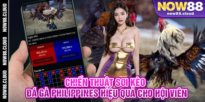 Chiến Thuật Soi Kèo Đá Gà Philippines Hiệu Quả Cho Hội Viên
