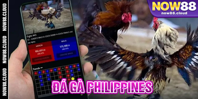 Đá Gà Philippines