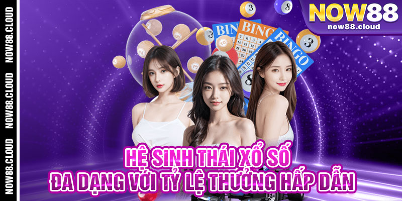 Hệ Sinh Thái Xổ Số Đa Dạng Với Tỷ Lệ Thưởng Hấp Dẫn