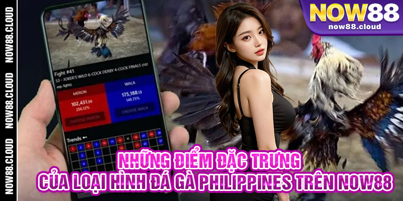 Những Điểm Đặc Trưng Của Loại Hình Đá Gà Philippines Trên Now88