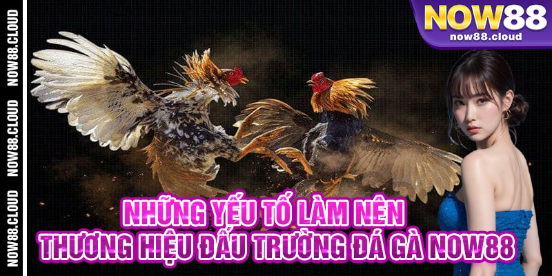 Những Yếu Tố Làm Nên Thương Hiệu Đấu Trường Đá Gà Now88