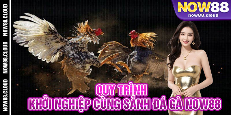 Quy Trình Khởi Nghiệp Cùng Sảnh Đá Gà Now88