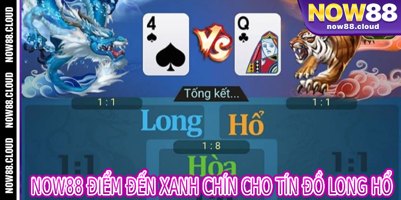 Now88 Điểm Đến Xanh Chín Cho Tín Đồ Long Hổ